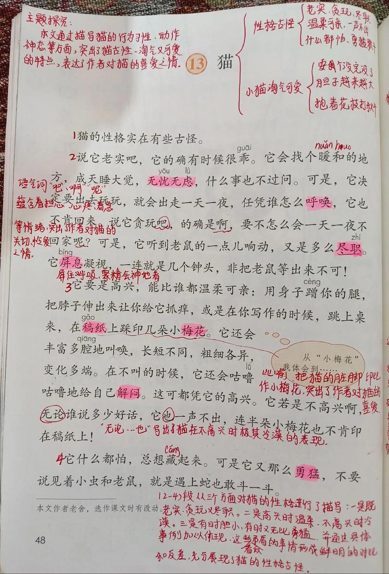 猫的诗歌里藏着怎样的灵性?-图2 猫的诗歌里藏着怎样的灵性?-图2