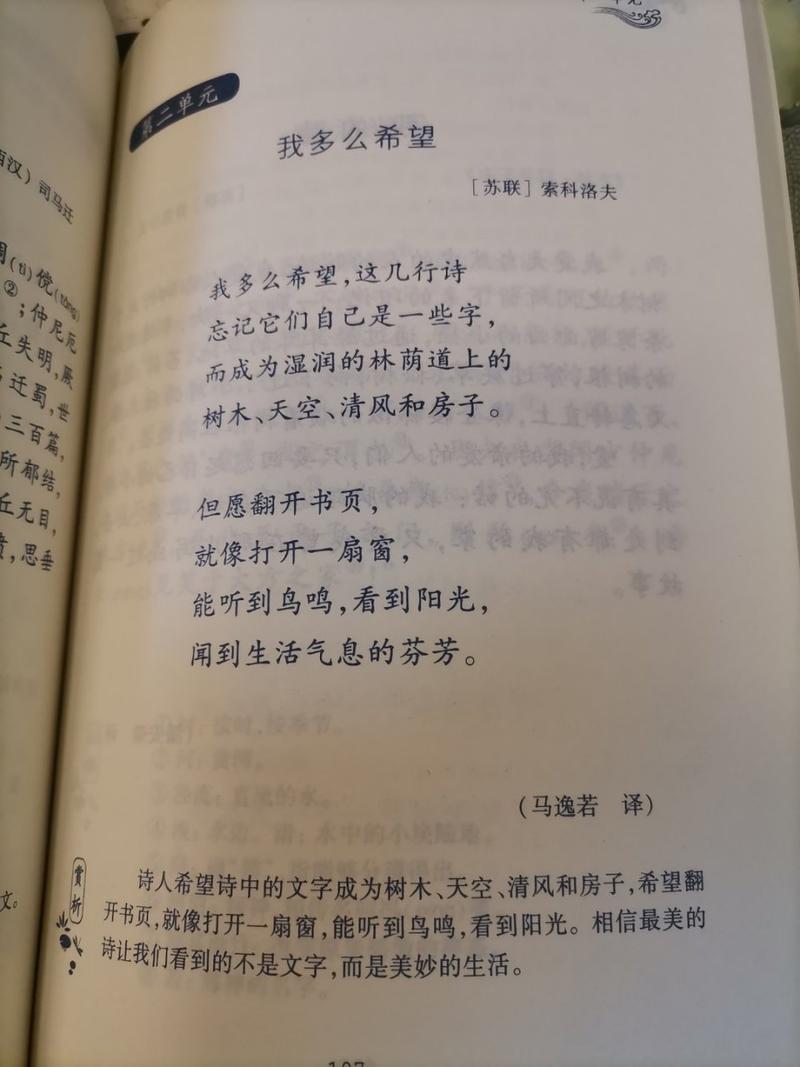 希望诗歌藏着什么？-图1