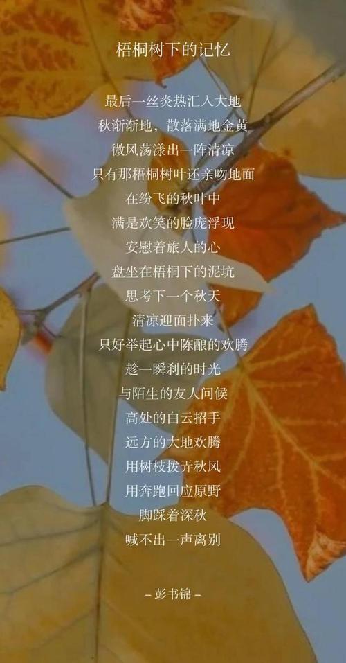 树下的诗藏着怎样的故事？-图1