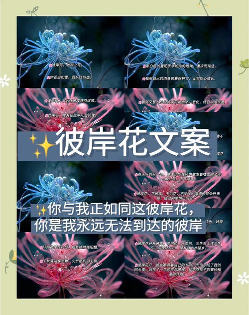 彼岸诗歌，藏着怎样的灵魂低语？-图2