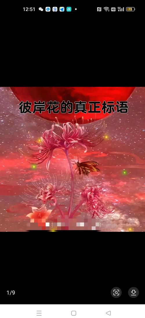 彼岸诗歌，藏着怎样的灵魂低语？-图3