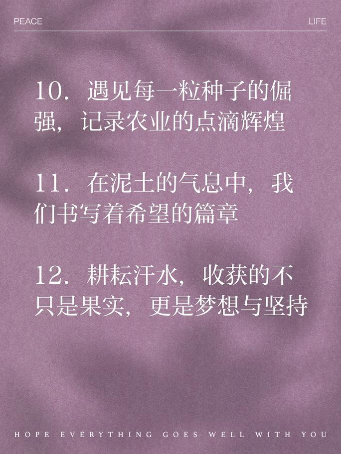 农业名言藏着哪些智慧？-图1