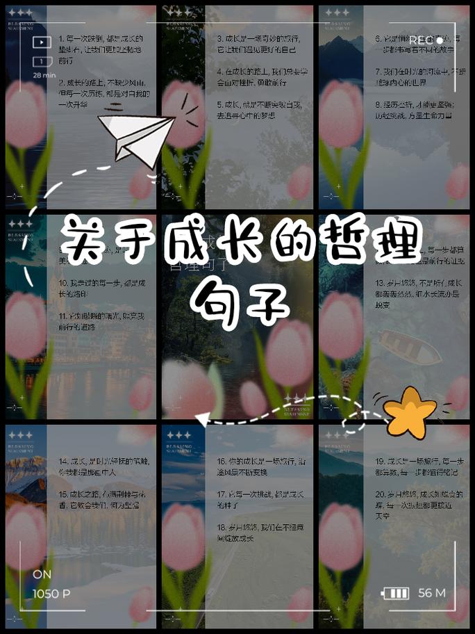 名人名言如何助力成长？-图1