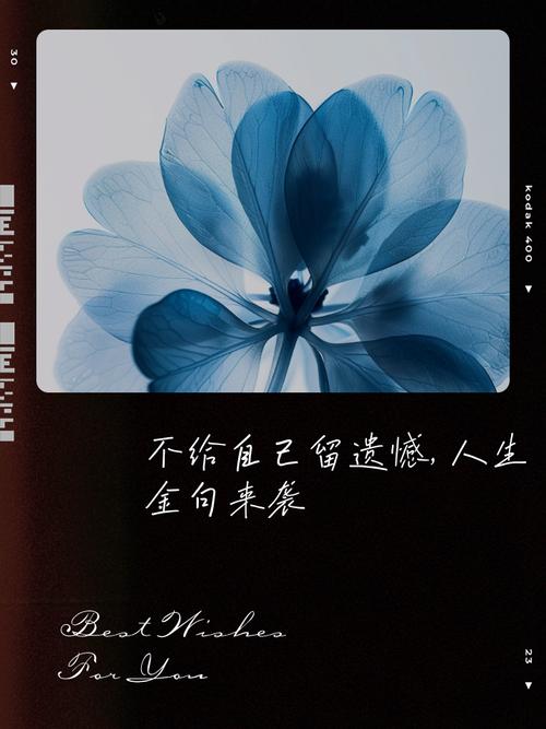 人生不留遗憾的名言-图1 人生不留遗憾的名言-图1