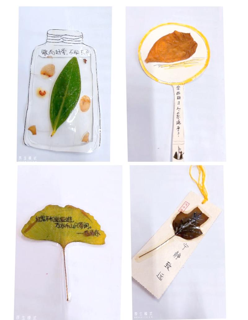 树叶书签名言藏着怎样的自然智慧？-图2