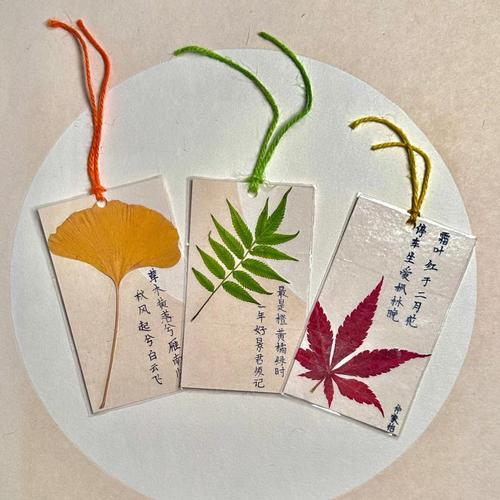 树叶书签名言藏着怎样的自然智慧？-图3