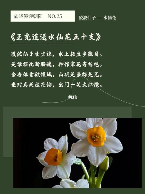 水仙花诗中藏着怎样的灵魂？-图2