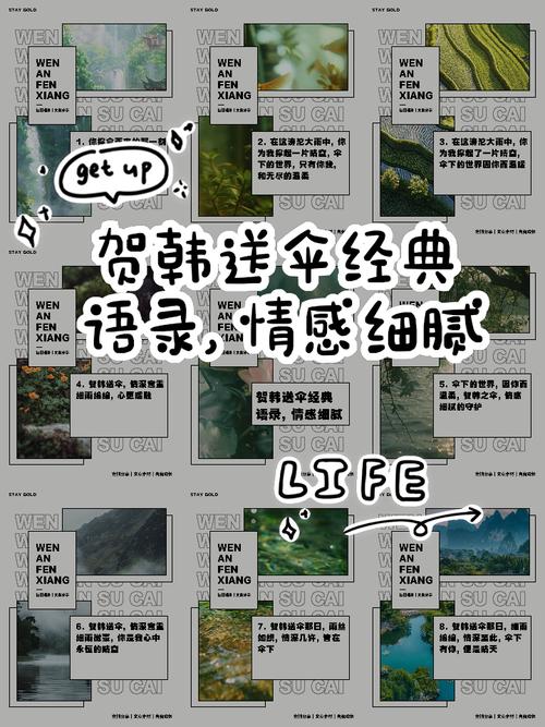 关于韩的名言-图3