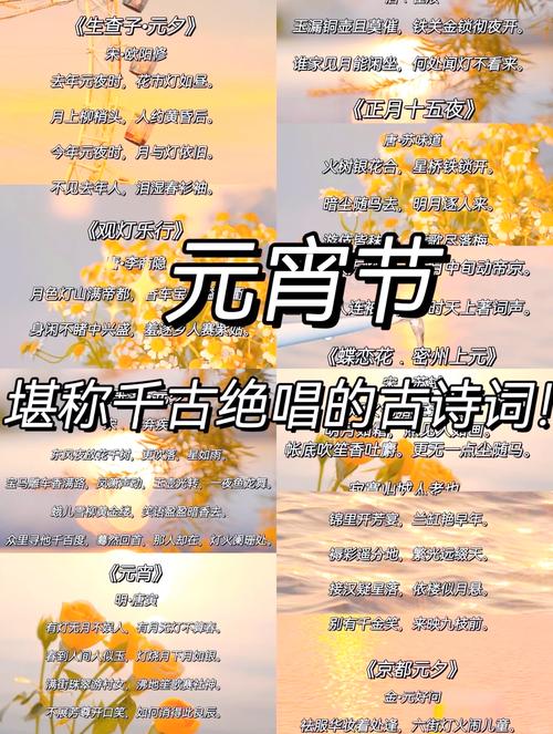 描写节目的诗歌-图2