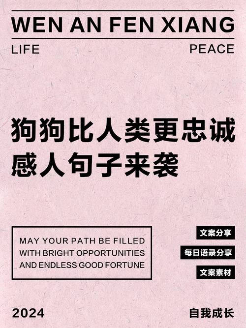 狗的忠诚的名言-图1