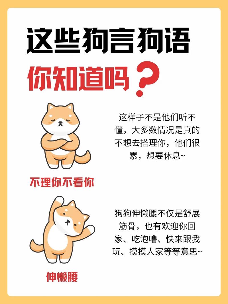 狗的忠诚的名言-图3