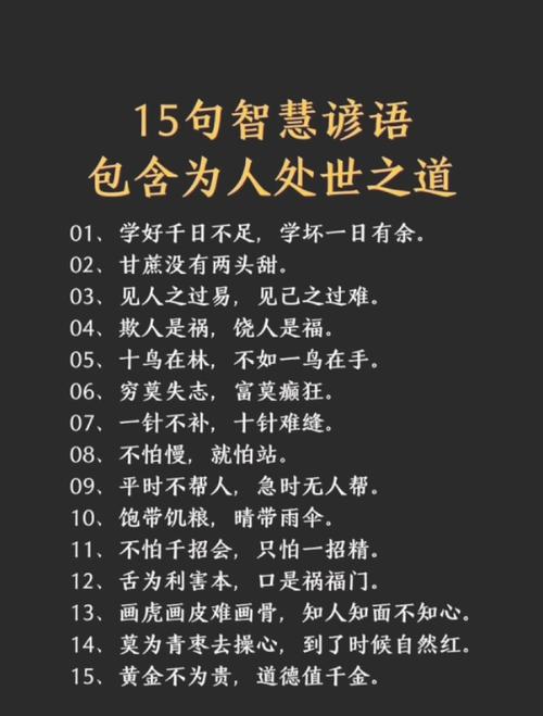 关于智慧的名言警句-图1