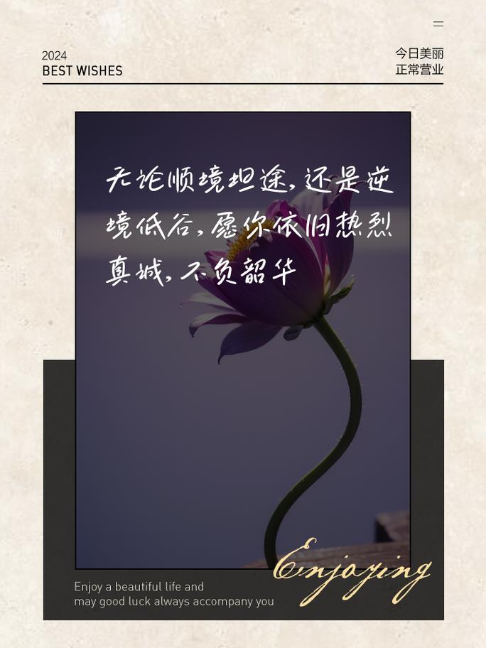 逆境成功的名言-图2