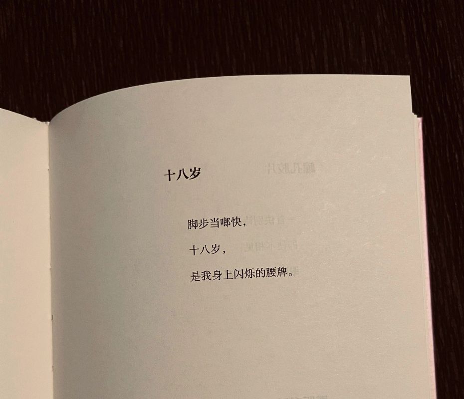 关于十八岁的诗歌-图2