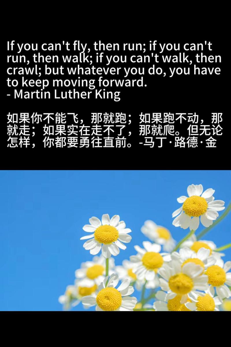 努力奋斗的名言英语-图1