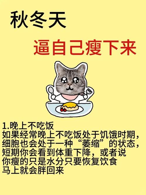 减肥搞笑名言名句-图1