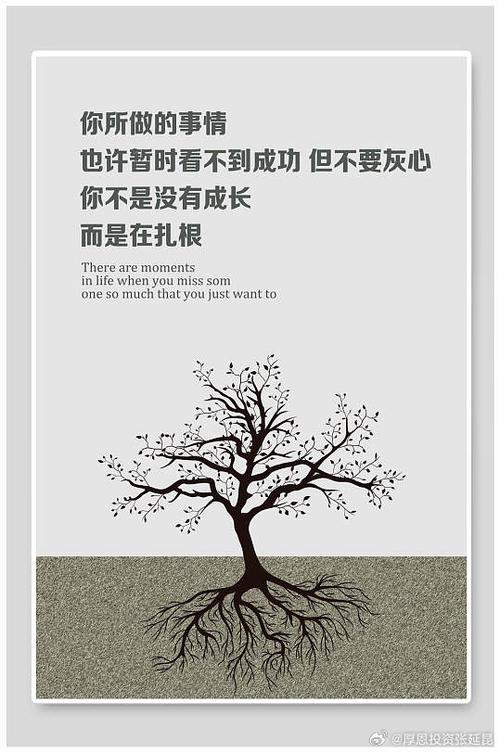 根的名言，藏着什么人生智慧？-图1