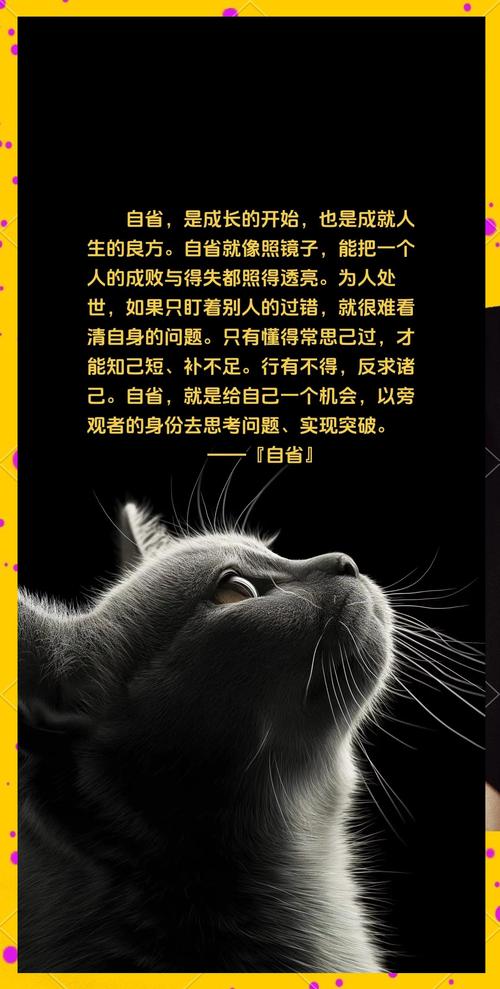 自省的名言-图2