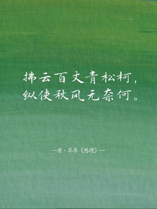 质量何须入诗行？-图1