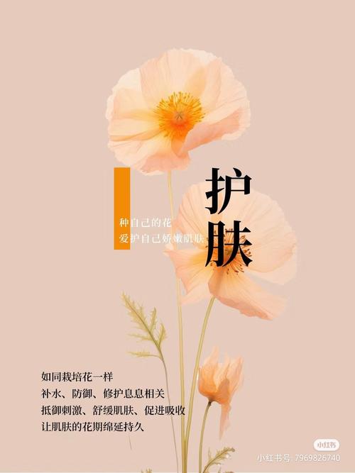 护肤的名言-图2 护肤的名言-图2