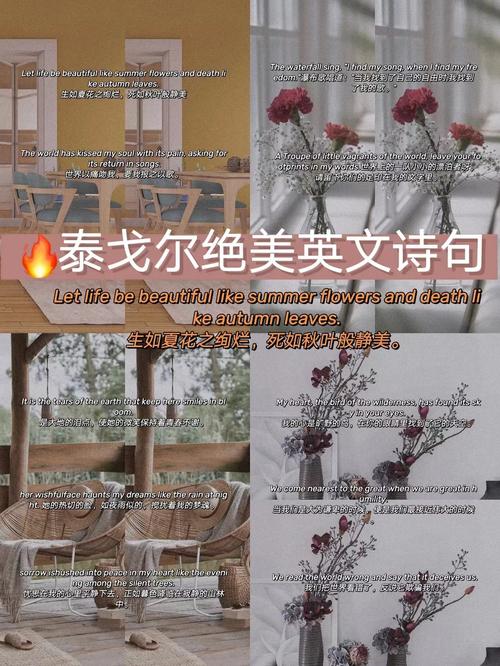 英语诗歌励志-图3