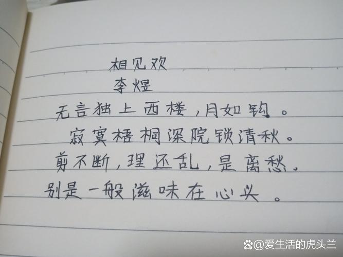 相见欢诗歌鉴赏-图3