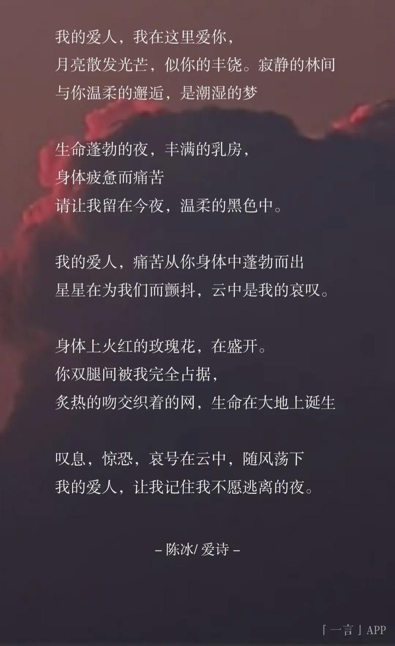 记住我诗歌-图2