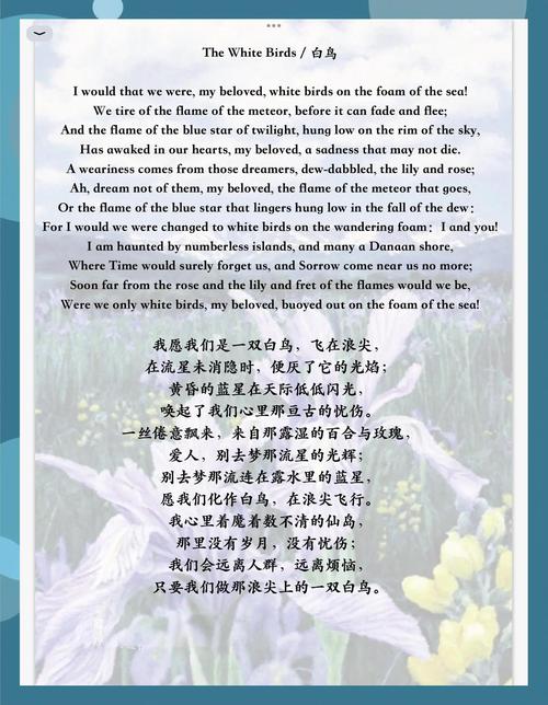 英文诗歌爱情-图3