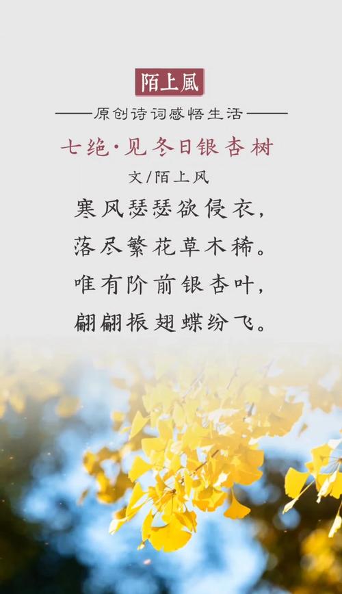 银杏叶诗中藏着什么？-图1