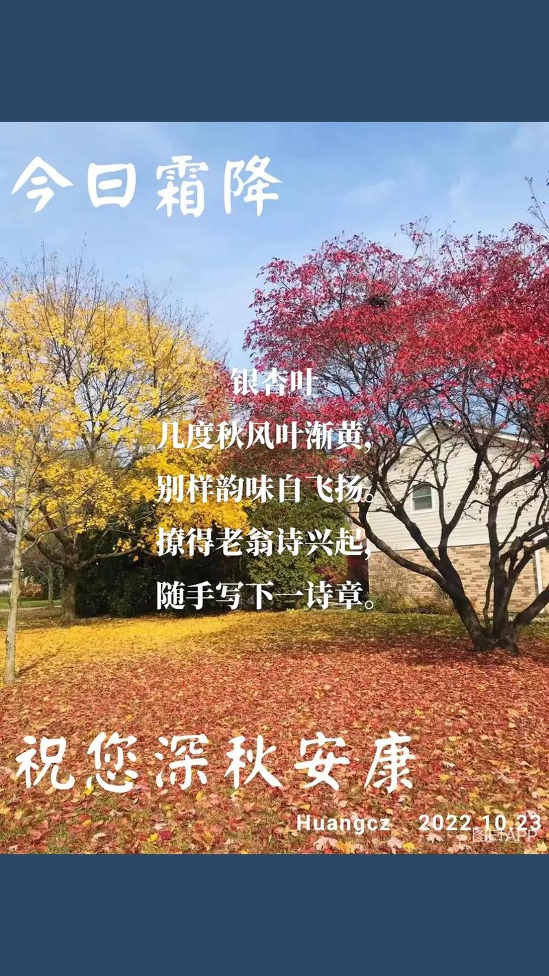 银杏叶诗中藏着什么？-图2