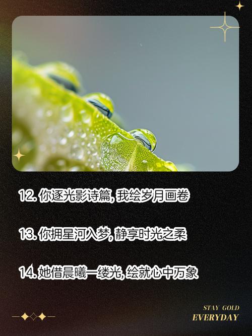 摄影名言如何点亮创作灵感？-图1