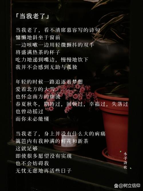 等我老了 诗歌-图2