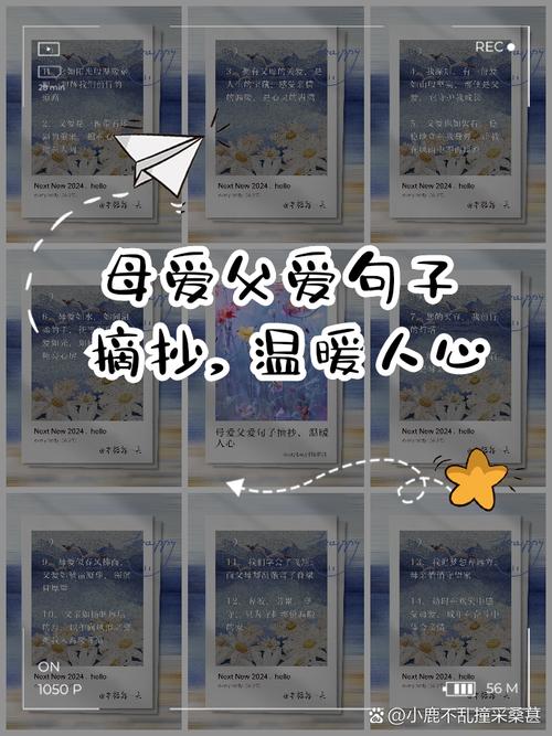 父爱或母爱的名言-图1