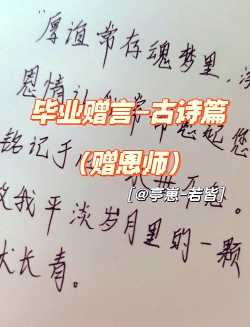 初中毕业诗歌，藏着多少青春回忆？-图2