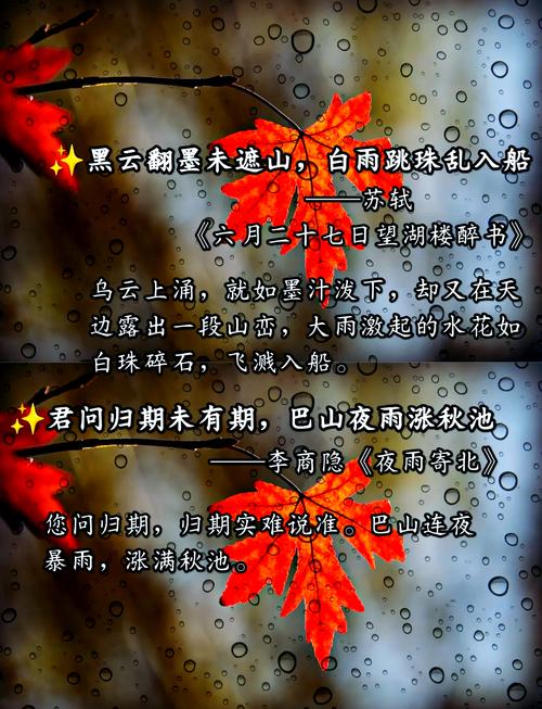 喜欢雨诗歌，喜欢雨的诗句有哪些-图2