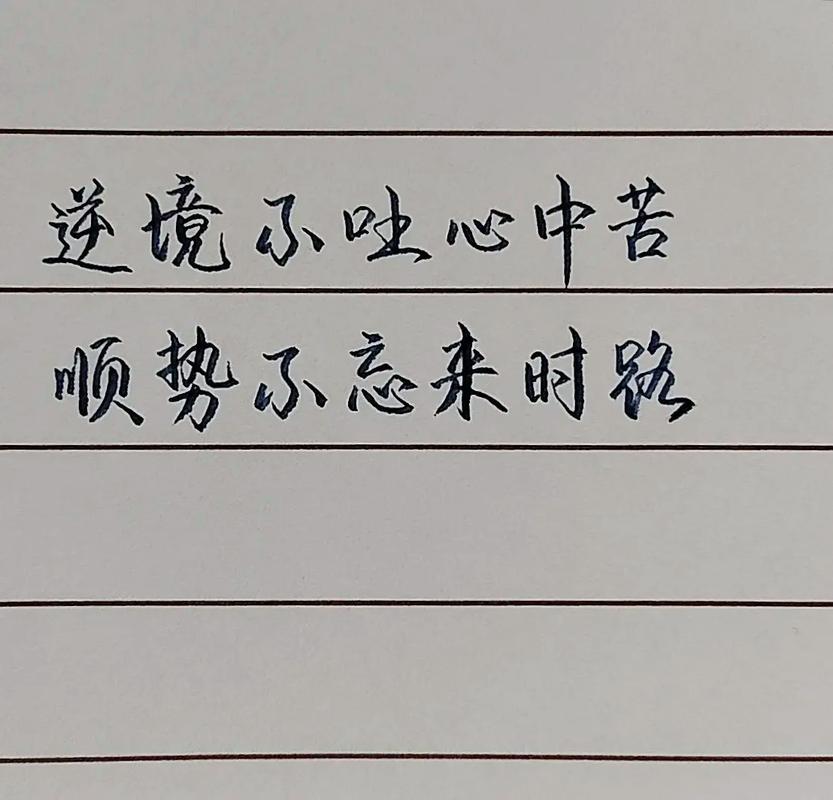 对待逆境的名言-图2