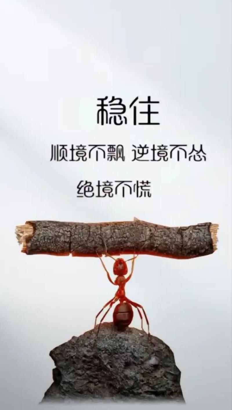 对待逆境的名言-图3