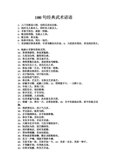 武术励志名言名句大全，武术励志名言名句大全集-图1