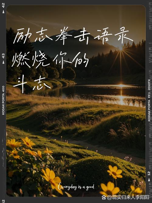 武术励志名言名句大全，武术励志名言名句大全集-图3