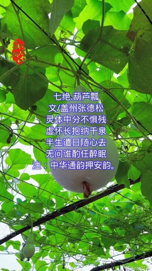 糖葫芦诗歌，糖葫芦诗歌散文-图2