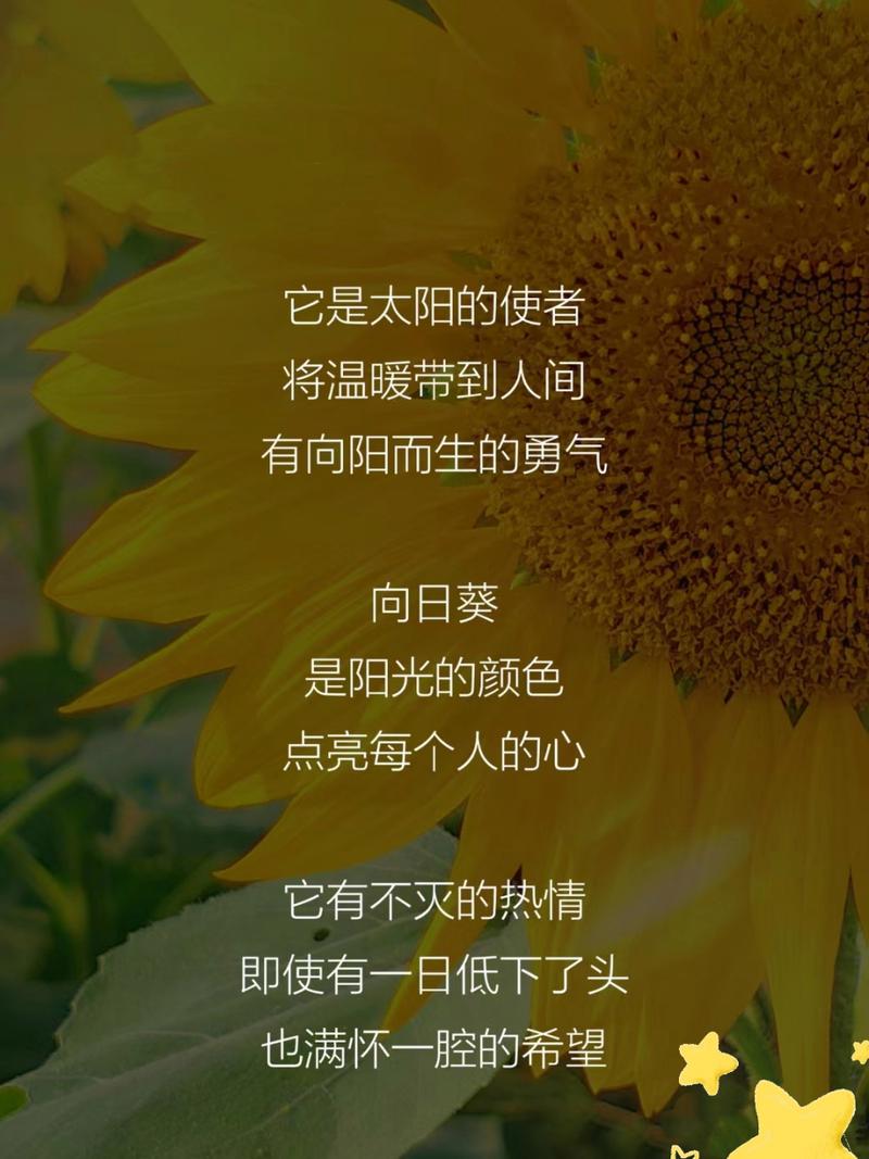 是阳光我是花的诗歌，是阳光我是花的诗歌有哪些-图2