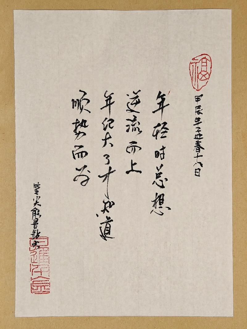 逆流而上的名言，逆流而上的名言名句-图2