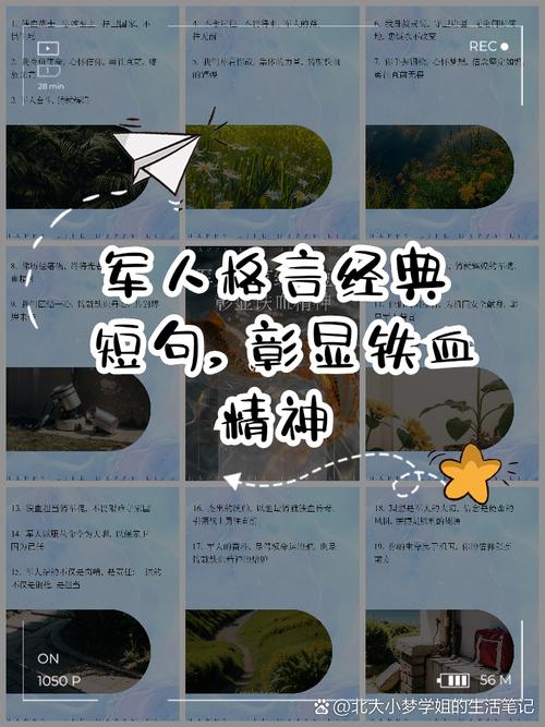 军是名言,关于军的名言名句-图2 军是名言,关于军的名言名句-图2