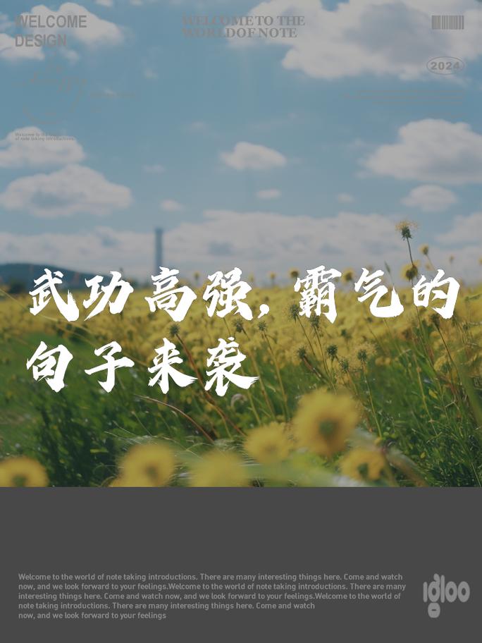 武术名言名句，有哪些经典？-图1