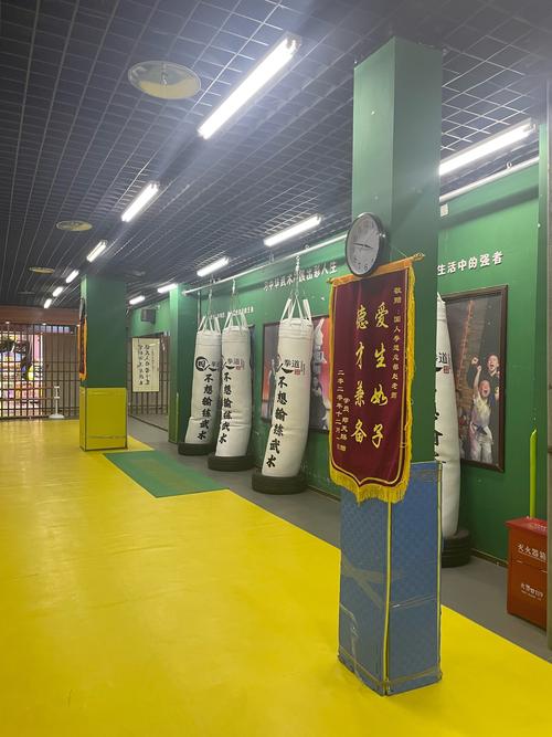 武术名言名句，有哪些经典？-图2