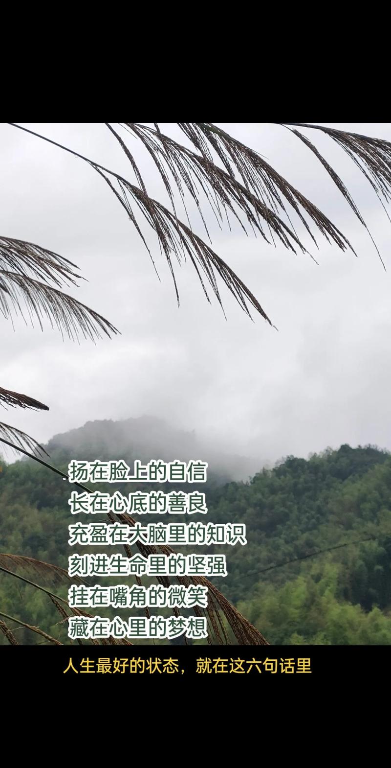 朴槿惠名言 扬在脸上的，朴槿惠扬在脸上的自信-图1