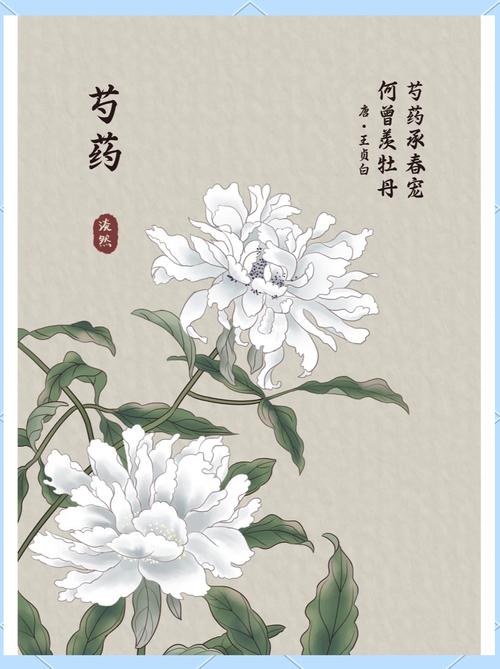 芍药 诗歌，芍药诗歌-图1