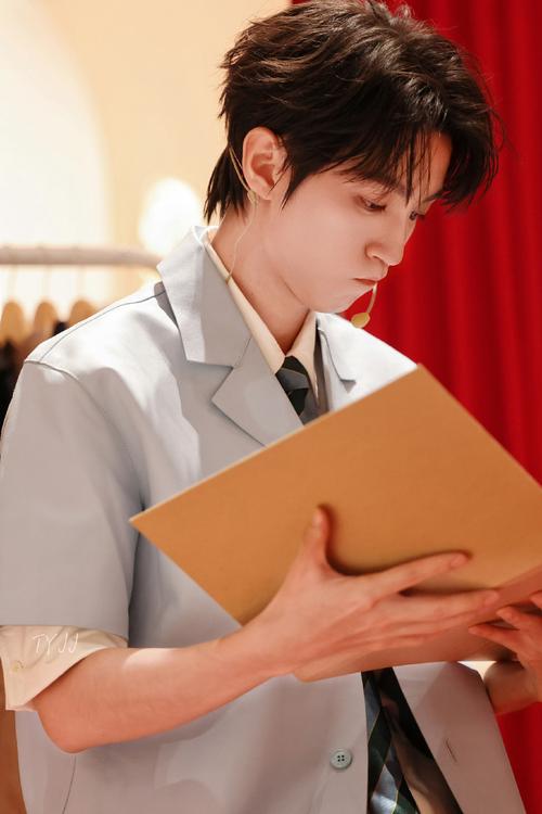 关于王俊凯的诗歌，关于王俊凯的诗歌有哪些-图3