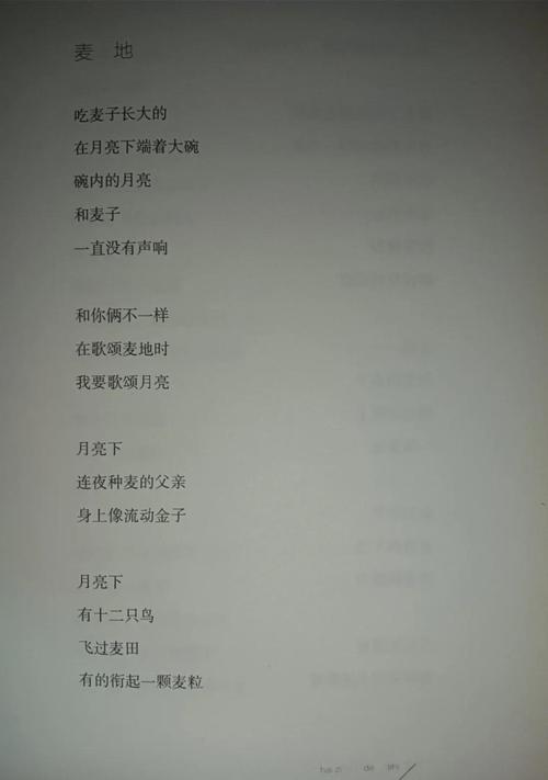 麦田守望者诗歌有何深意？-图3