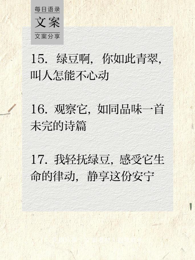 观察名言有哪些-图2